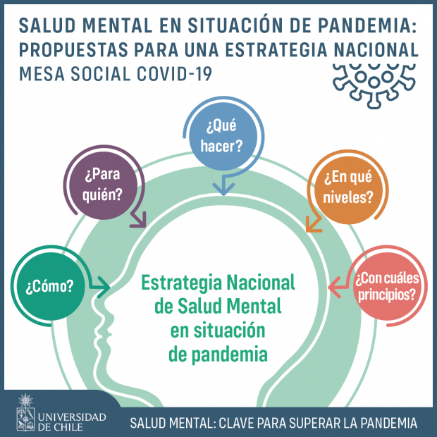 Propuestas para una Estrategia Nacional de Salud Mental