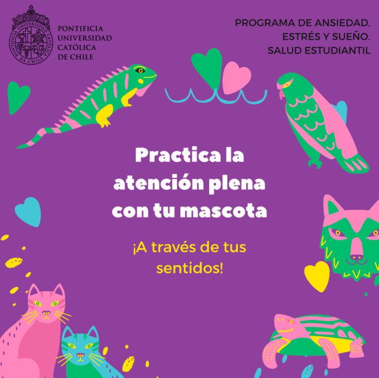 Atención plena con mascotas