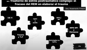 Seminario “Trauma Complejo: el fracaso de la elaboración del trauma”