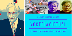 Mariane Krause en el programa «Vocería Virtual»
