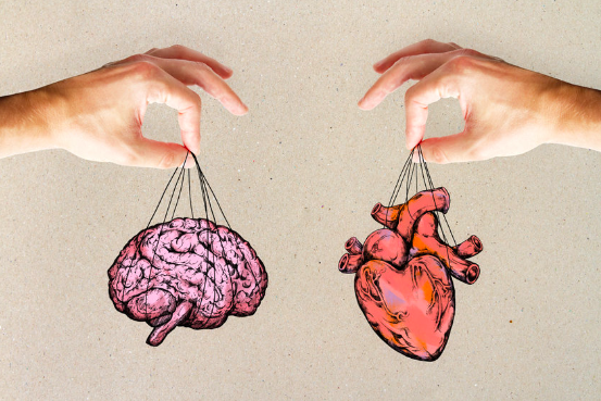 Neurobiologia del desamor