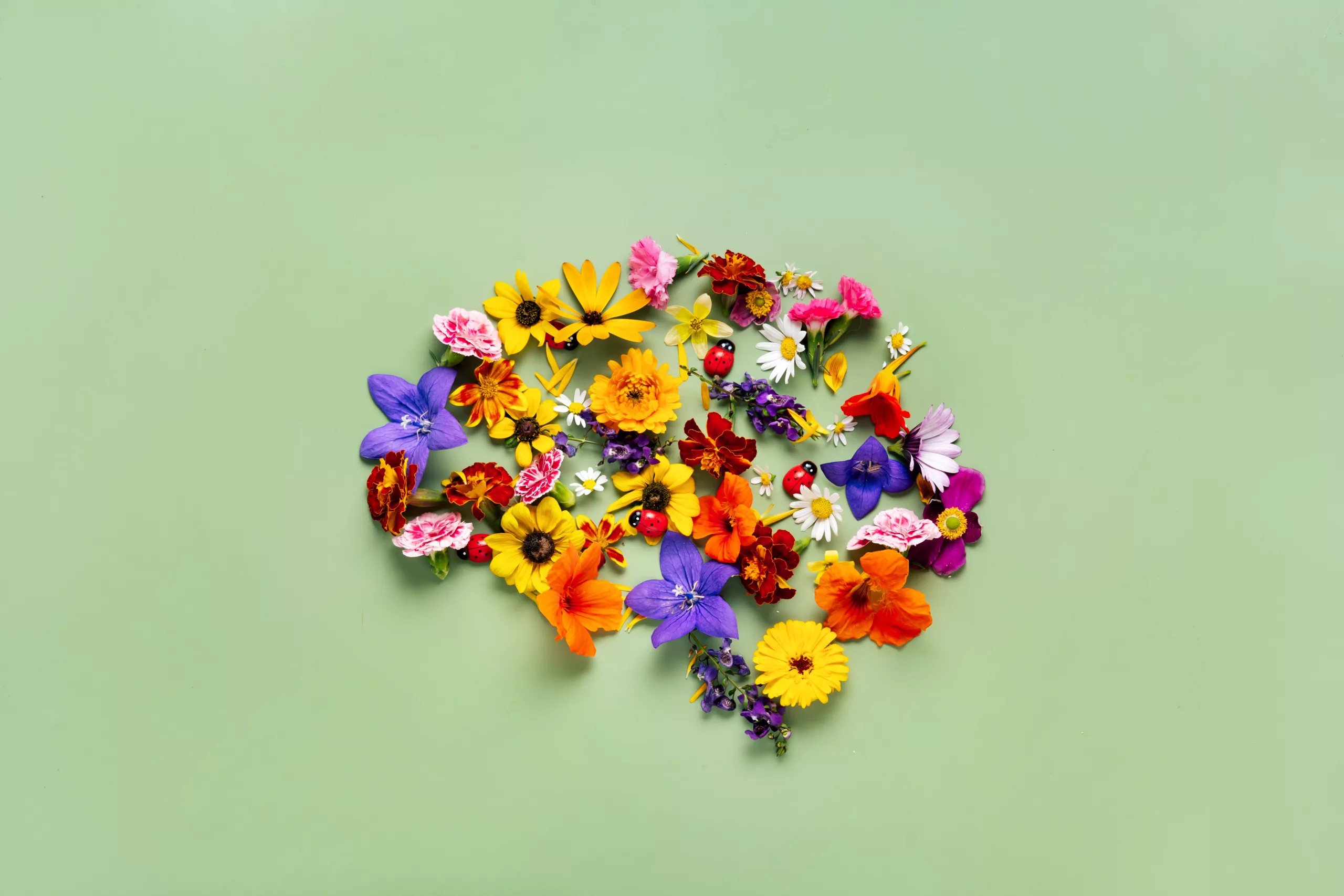 Salud Mental
