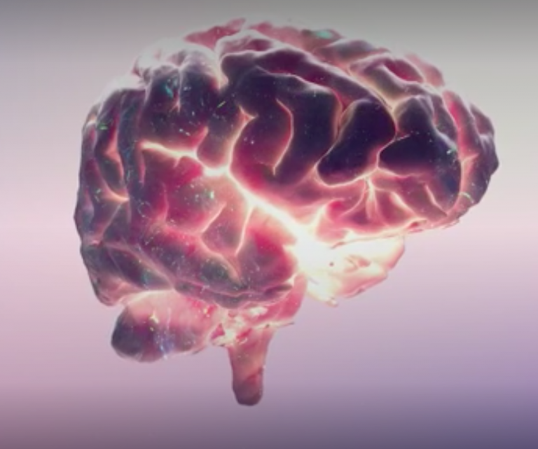 Neurópolis: «Miedos y Fobias»